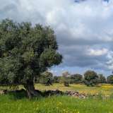 Il Casale si trova all�interno della lama dell�Assunta, ampio solco carsico scavato nei millenni dall�acqua piovana, che va a sfociare in prossimit� del borgo balneare Capitolo

